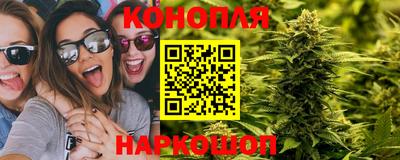 a pvp Лесосибирск